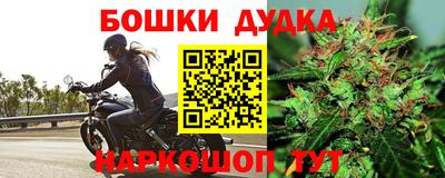 хмурый Тара