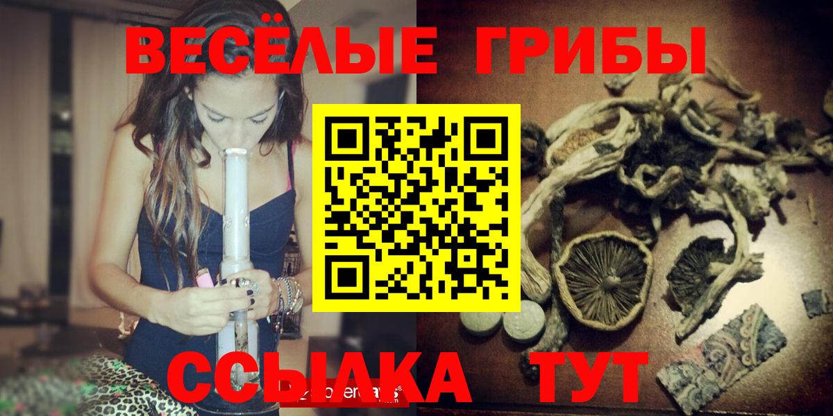 Псилоцибиновые грибы Psilocybine cubensis Алушта