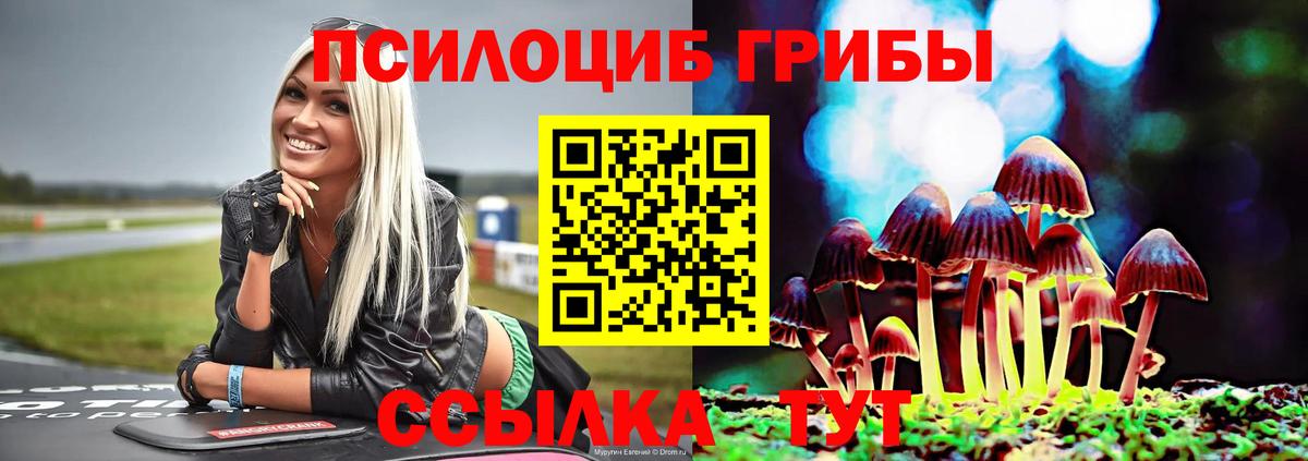 Алушта  Галлюциногенные грибы Magic Shrooms  что такое наркотик  Галлюциногенные грибы мухоморы  Вход с VPN 
